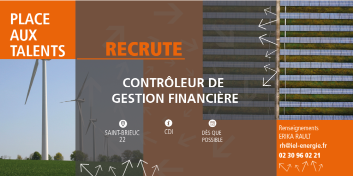 Controleur de gestion financiere pour le développement du groupe IEL